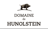 Logo du Domaine de Hunolstein
